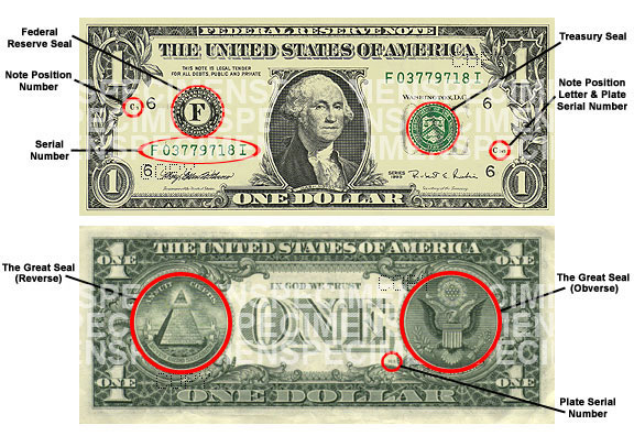 Dollar Bill Explained